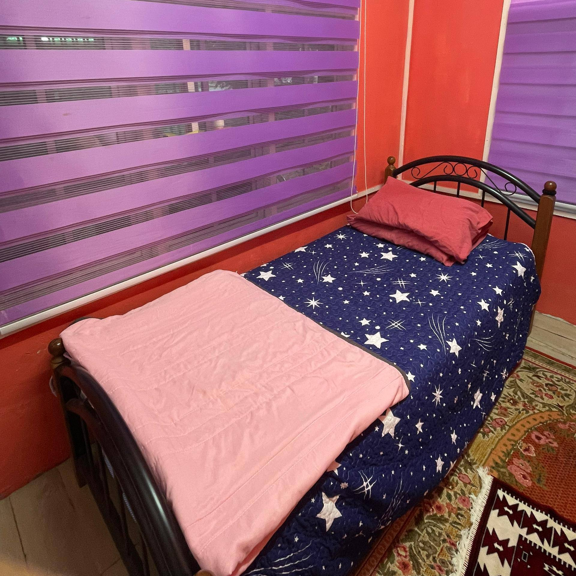Bedroom/Living Room